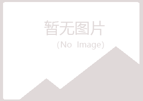 鹤岗兴山元枫工程有限公司